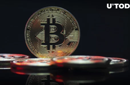 Top Reason Why Bitcoin (BTC) Just Reclaimed $24,000