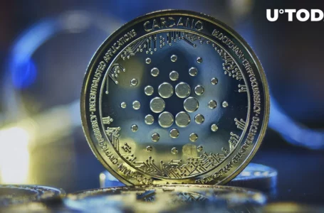 400 Million Cardano (ADA) Tokens Staked Since Early December: Report
