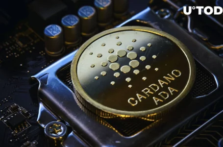 Here’s Where Cardano (ADA) Formed Crucial Support as Profitability Reaches 25%
