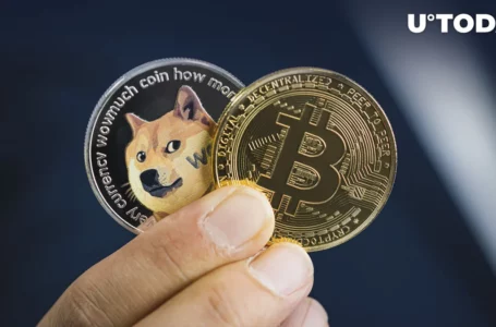 Dogecoin (DOGE) Gearing up for Massive ‘Revenge Pump’ Against Bitcoin (BTC), Top Trader Says