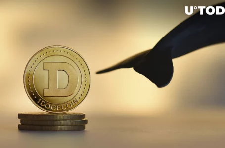 Dogecoin Creator Highlights Whopping 450,000,000 DOGE Transaction