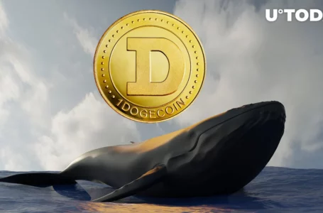 Dogecoin Whales Made 523 Transactions After DOGE’s 34% Price Rise