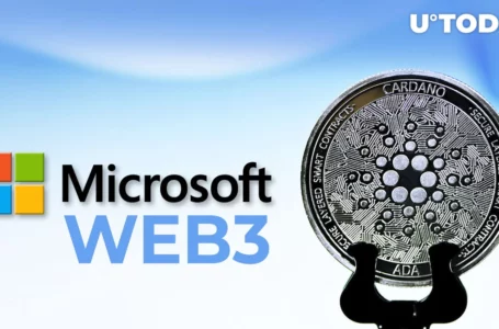 Cardano-oriented GameFi Startup Joins Microsoft’s Web3 Program