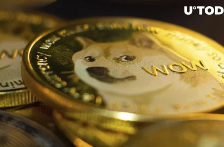 The Following Must Happen for Dogecoin (DOGE) to Spike, Analyst Believes