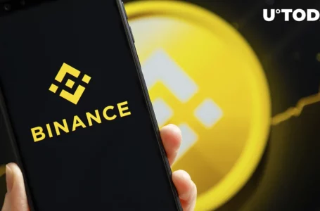 Binance (BNB) Launches Novel Community Feedback Analysis Feature