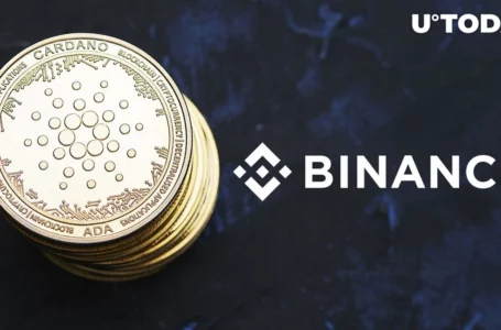 Cardano (ADA) Transactions Will Be Temporarily Suspended by Binance, Here’s When and Why