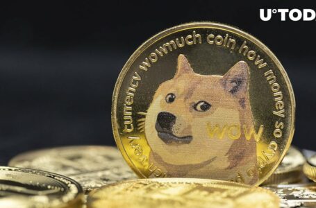 Dogecoin (DOGE) Core Developer Hints at Next Major Release: Details