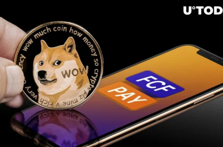DOGE Army Voting for FCF Pay to Add Dogecoin for Debit Visa Cards