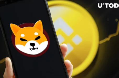 Whopping 6 Trillion Shiba Inu Transferred by Binance Exchange as SHIB Jumps 10%