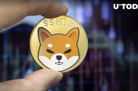 LEASH Price Jumps 41%: SHIB Fans Can’t Get Enough