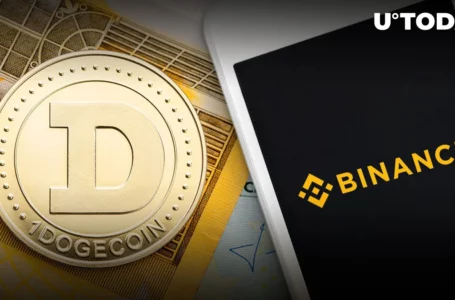 184 Million DOGE out of Binance, Dogecoin Price Acts Positively