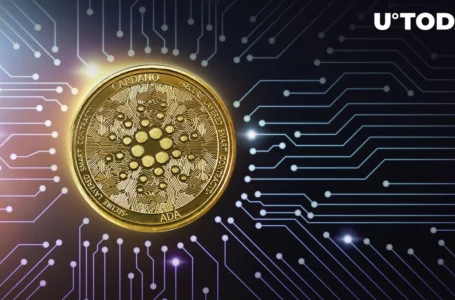 Cardano (ADA) Records 135K Active Addresses in Biggest Transaction Spike in Months
