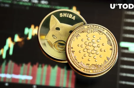 Shiba Inu (SHIB) and Cardano (ADA) Show Something You Don’t Want to Miss