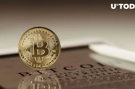 Bitcoin (BTC) Will Reach $25,000, But Another Thing Is Happening First, Mike Alfred Says