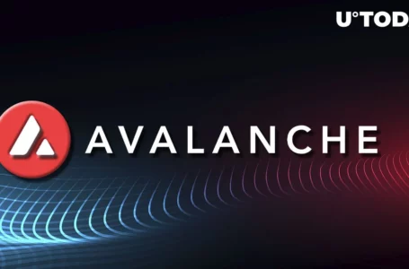 Avalanche (AVAX) Expands Horizons With New Decentralized Exchange
