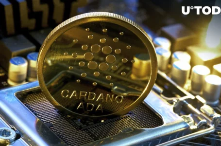 Cardano: New Innovation That Might Help Boost Cross-App Compatibility Launches
