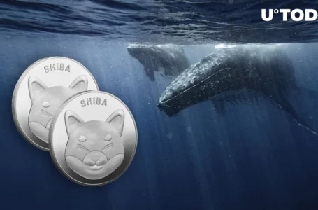 Whales Grab 8.7 Trillion Shiba Inu in Past Week, SHIB Now Their Biggest Holding