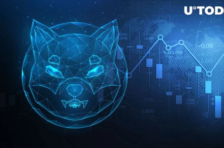 Shiba Inu (SHIB) May Show 10% Price Movement, But There’s a Catch: Analyst