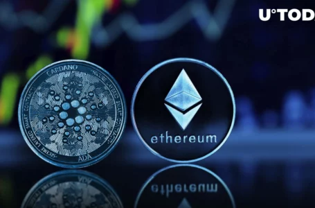Cardano’s Ethereum Sidechain Goes Live in Public Testnet