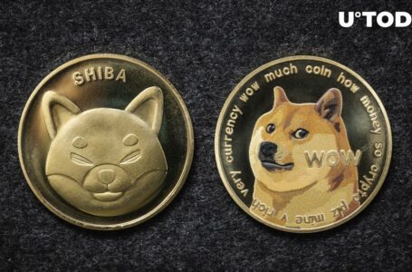 CEO Slams Shiba Inu (SHIB) and Dogecoin (DOGE) as ‘Garbage’