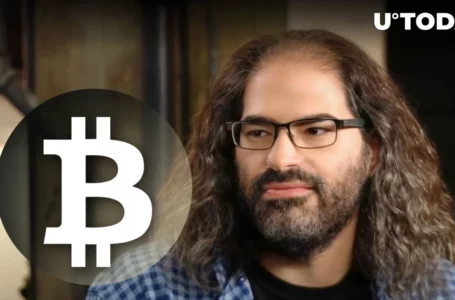 “Complete Nonsense”: Ripple CTO Schools Bitcoin SV Supporter in Debate About Bitcoin Developers
