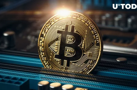Ancient Bitcoin Wallet With 412 BTC Suddenly Reawakens After 11 Years: Details