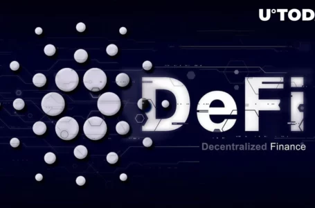 Cardano DeFi TVL Soared More Than 100% Amid Bear Market: Details