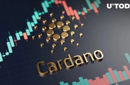 Cardano (ADA) May Rally 40% If This Scenario Repeats Itself