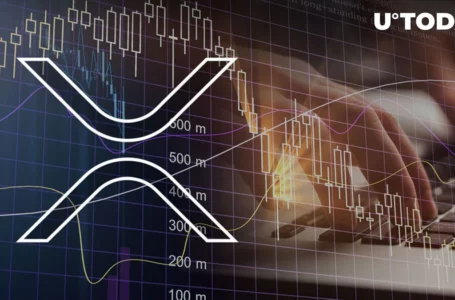 XRP Losing Momentum Together with Other Major Cryptocurrencies