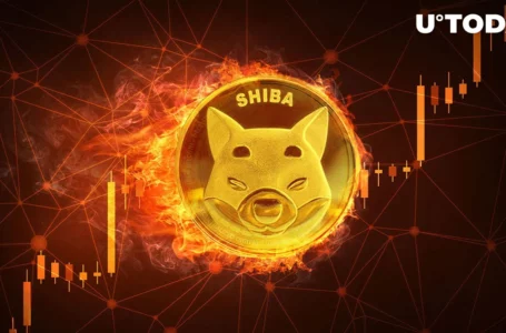 Shiba Inu (SHIB) Spikes 11% Weekly, But Here’s What’s Happening with Burn Rate