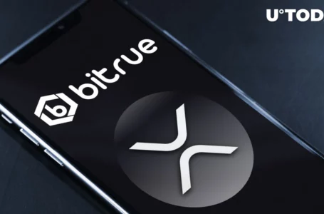 XRP Deposits and Withdrawals to Be Temporarily Suspended on Bitrue on This Date: Details