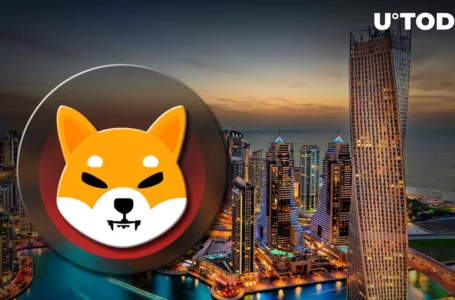 Shiba Inu (SHIB) Now Accepted by Leading Dubai University via This Integration