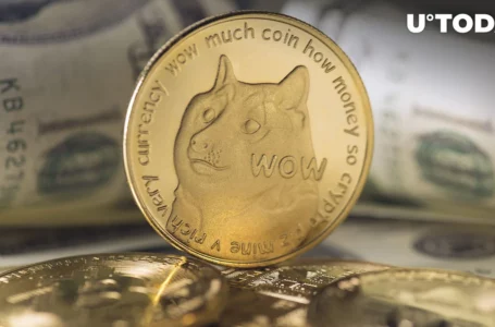 Top-Tier Dogecoin (DOGE) Wallet Receives Million of DOGE, Could It Be Sign of Selling?