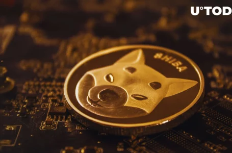 Shiba Inu Tokens Actively Bought by This Fund Amid 7% Drop in SHIB Price