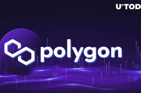 Polygon (MATIC) Forms Enormous 4.65 Billion Support at This Price Level