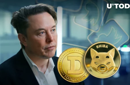 Elon Musk and Shytoshi Kusama’s Mysterious Tweets Explained by Dogecoin (DOGE) Founder