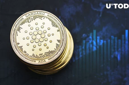 Cardano (ADA) Primed for Rebound Based on This Key Factor
