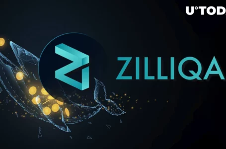 Millions of Zilliqa (ZIL) Tokens Bought by Biggest BNB Whale Ahead of This Release