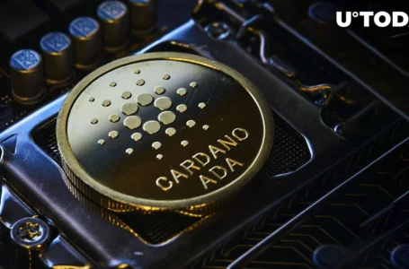 Why Are Cardano Stablecoins Game Changers for the Altcoin? Here’s What Emurgo Team Believes