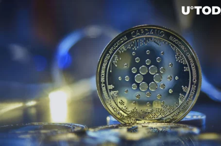 Cardano Ranks Biggest Staking Network After Ethereum, Here Are Details