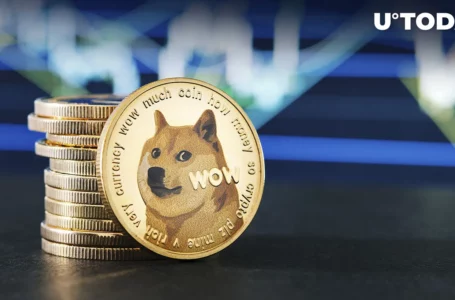 1.2 Billion Dogecoin Moved By Anon Addresses as DOGE Plunges 13% Weekly