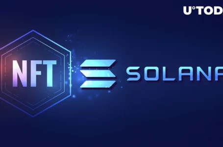 Solana (SOL) NFT Sales Surging Following Recovery of Market, Here’s What It May Lead To