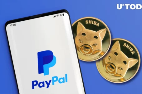 Shiba Inu (SHIB) on PayPal? Financial Giant Responds to Request