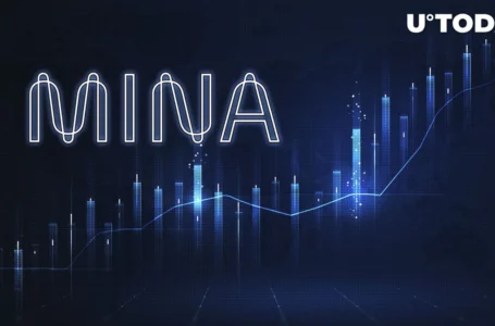 Mina Protocol (MINA) Up 46% on ZK Hype, Here’s What Everyone Is Waiting For