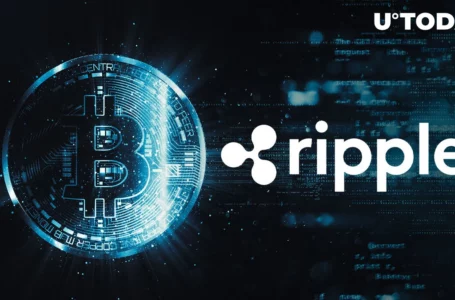 Pro-Ripple Lawyer: Bitcoin (BTC) Will Not Be Security Even if Satoshi Had Sold It