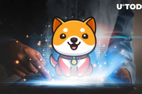 Baby Doge Coin (BabyDoge) Burn Innovation to Go Live in Next 24 Hours: Details