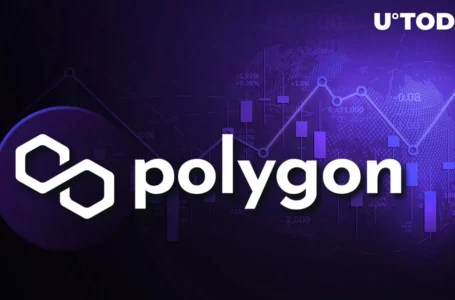 Messari Analyst Shares Evidence Polygon (MATIC) Primed for Growth: Details