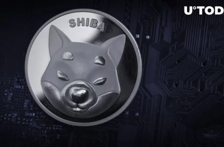 223 Billion Shiba Inu Acquired as Lead SHIB Developer Raises His Head About Shibarium