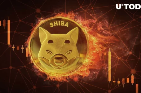 SHIB Burn Rate Sinks as Shiba Inu Price Continues to Stay in Red