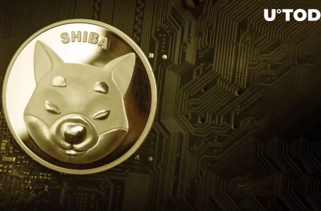 Shiba Inu (SHIB) Golden Cross Happening Despite Price Drop: What’s Next?